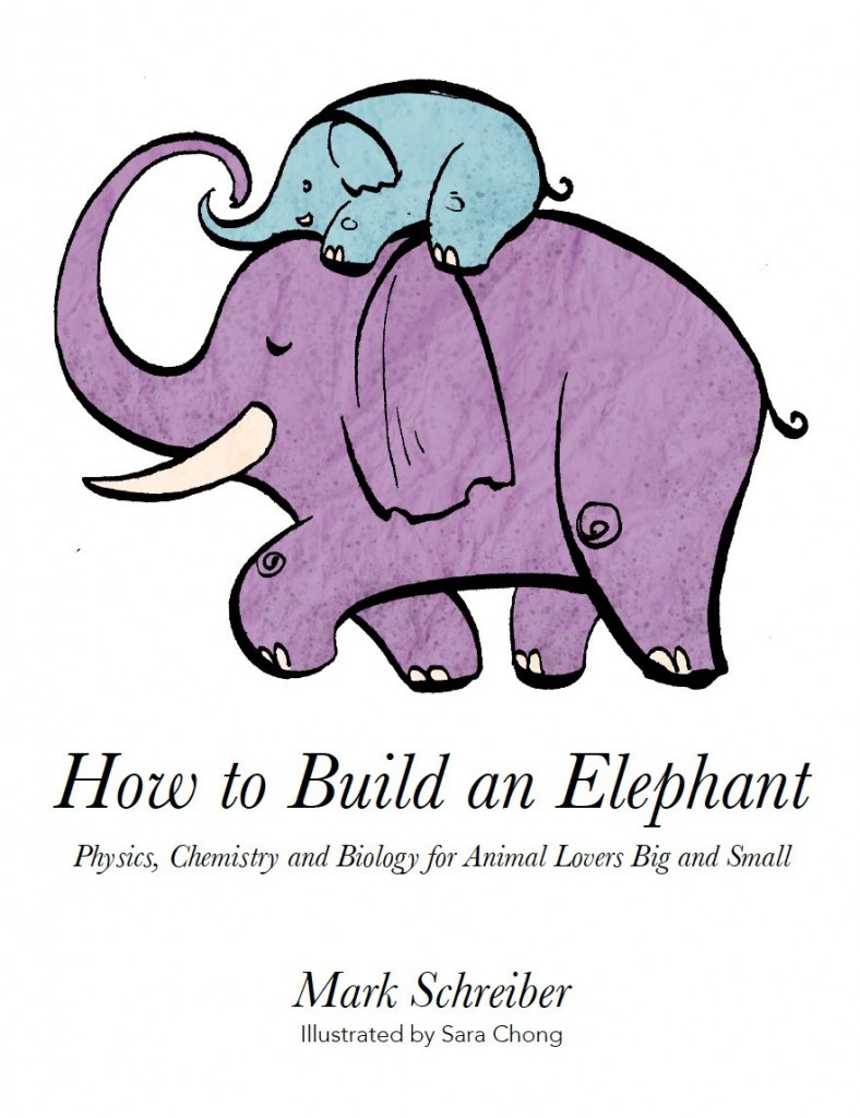 elephant web cover
